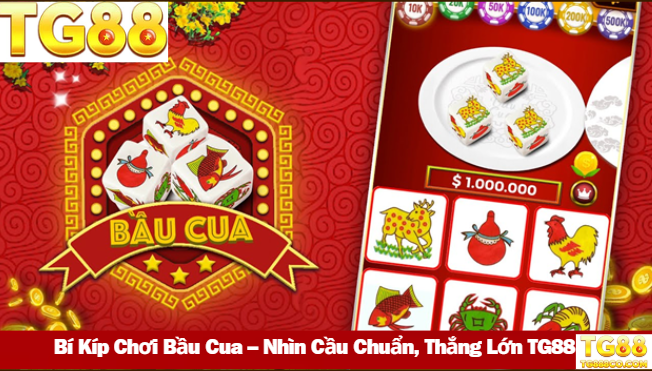 Bí Kíp Chơi Bầu Cua – Nhìn Cầu Chuẩn, Thắng Lớn TG88