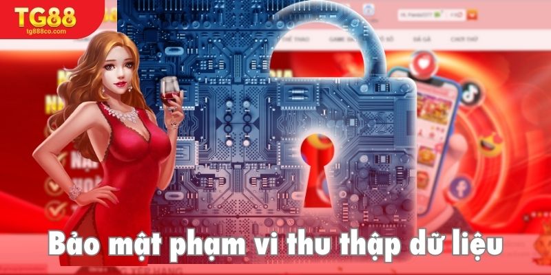 Phạm vi thu thập dữ liệu được nhà cái thể hiện rõ ràng