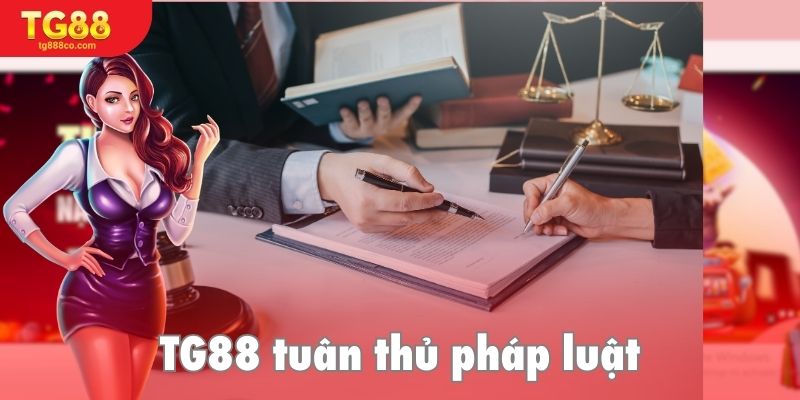 Nhà cái tuân thủ pháp lý quốc tế nghiêm ngặt
