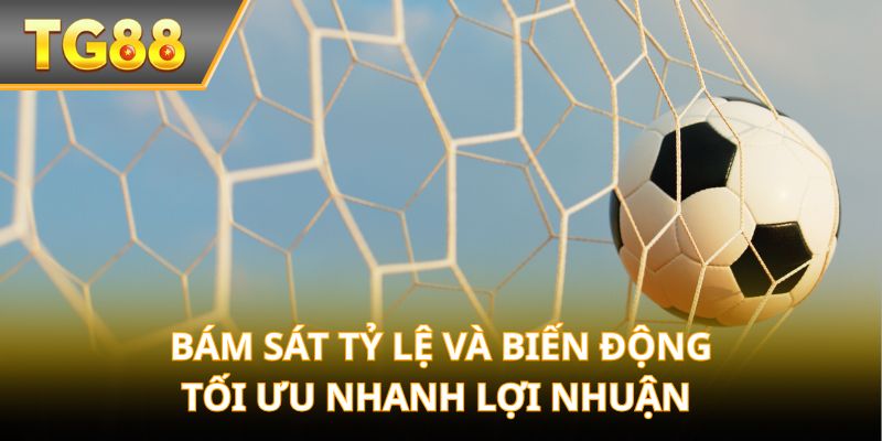 Bám sát tỷ lệ và biến động tối ưu nhanh lợi nhuận