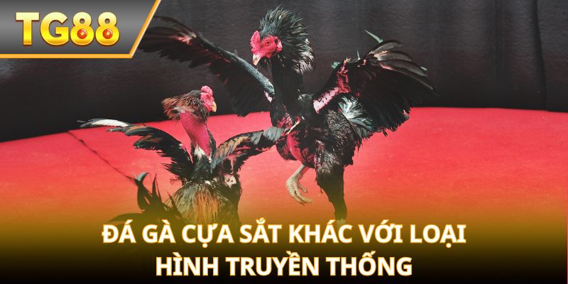 Đá gà cựa sắt khác với loại hình truyền thống