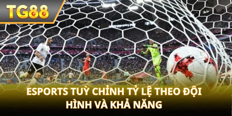 ESports tuỳ chỉnh tỷ lệ theo đội hình và khả năng