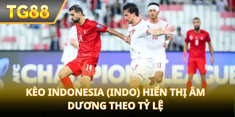 Kèo Indonesia (Indo) hiển thị âm dương theo tỷ lệ