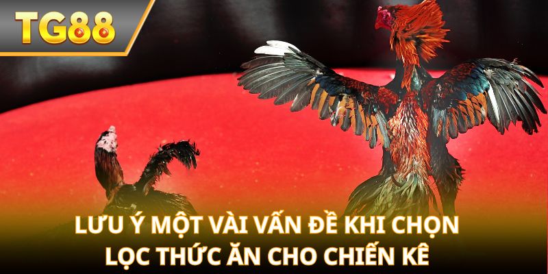 Lưu ý một vài vấn đề khi chọn lọc thức ăn cho chiến kê
