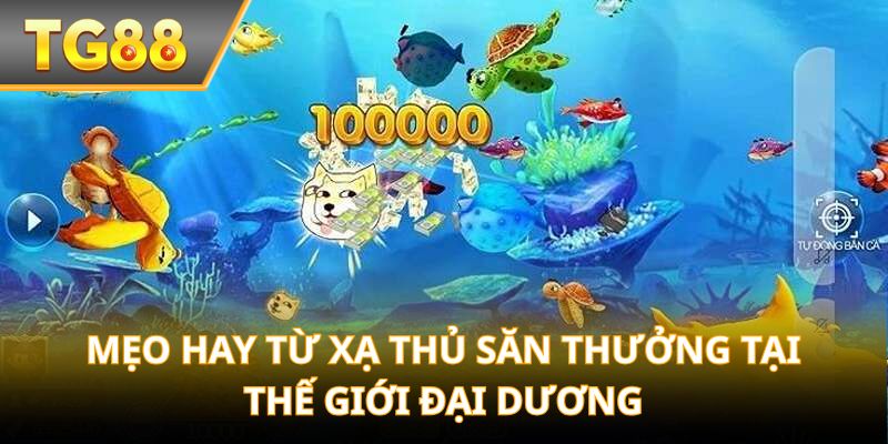 Mẹo hay từ xạ thủ săn thưởng tại Thế Giới Đại Dương
