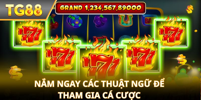 Nắm ngay các thuật ngữ để tham gia cá cược