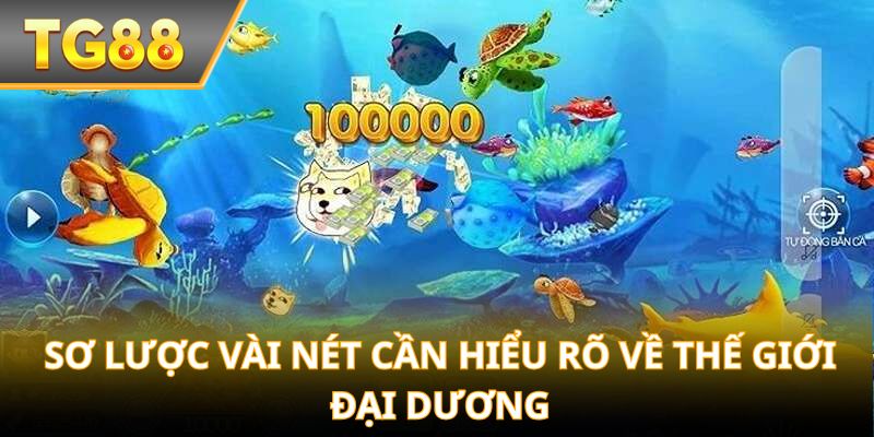 Sơ lược vài nét cần hiểu rõ về Thế Giới Đại Dương