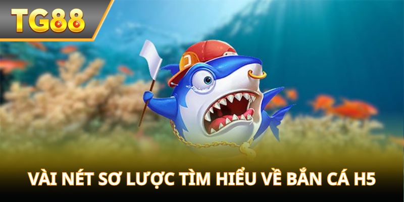 Vài nét sơ lược tìm hiểu về bắn cá H5