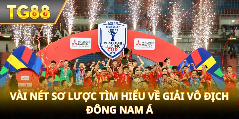 Vài nét sơ lược tìm hiểu về giải vô địch Đông Nam Á