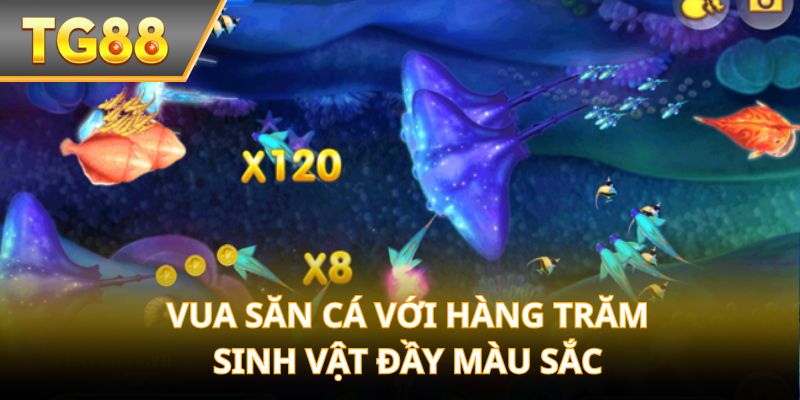 Vua Săn Cá với hàng trăm sinh vật đầy màu sắc mang nhiều điểm thưởng