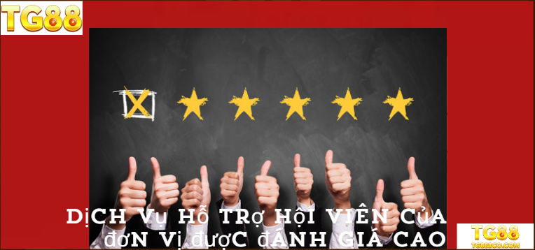 Dịch vụ hỗ trợ hội viên của đơn vị được đánh giá cao